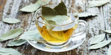 Chá de Cravo-da-Índia com Folhas de Louro: blindagem natural para a imunidade